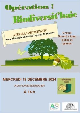 ATELIER PARTICIPATIF PLANTATION